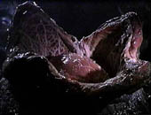 Uovo aperto con FaceHugger all'interno